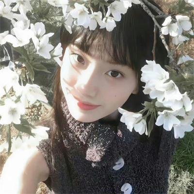 甘蓝仙子